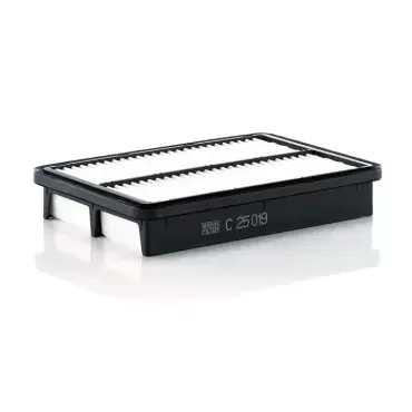 Discount Filtru aer C 25 019 Mann Filter